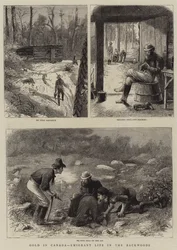 カナダの金、バックウッドの移民生活